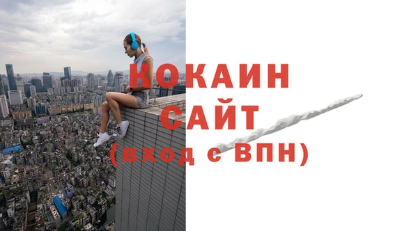 крисы Аркадак