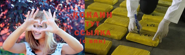 крисы Аркадак