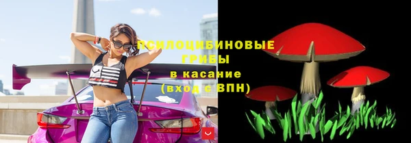 крисы Аркадак